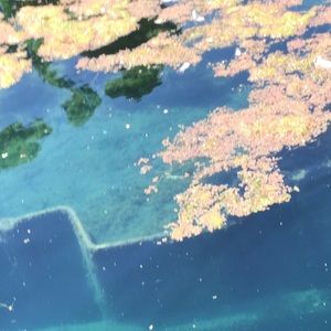 Meet your Posher, Beatriz